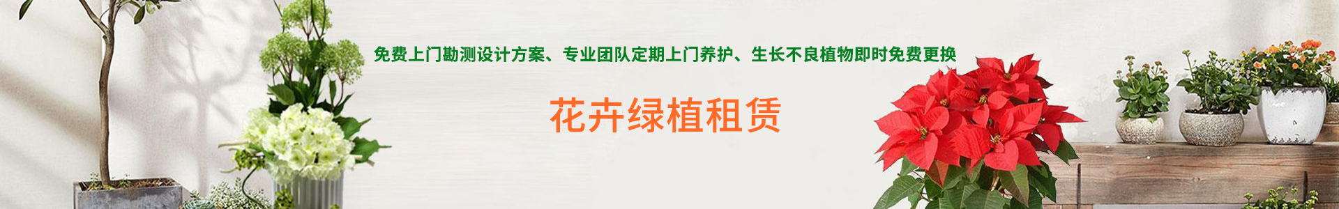 其它页面大图